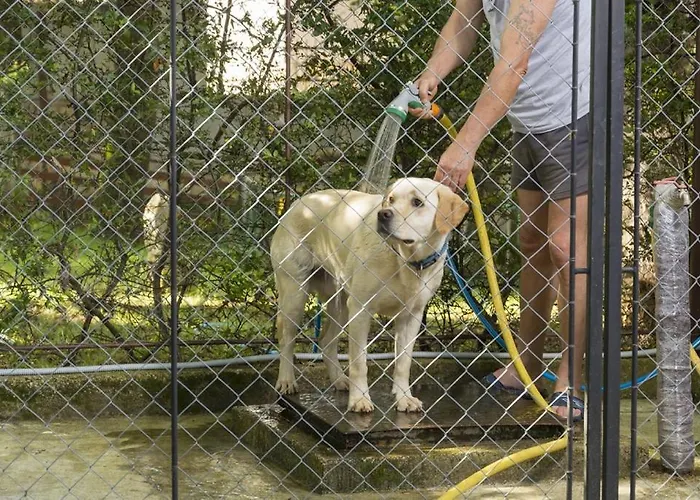 In With Terrace, Air Conditioning, Wifi, Washing Machine Poreč